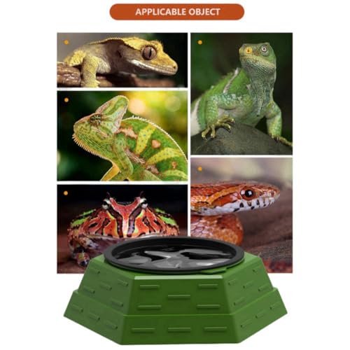 Reptile Food Bowl Plastic Water Feeder Bowls Anti- Escape Mini Round Reptile Feeder for Lizard, Gecko,Cricket, Leopard Gecko etc (Small) - size: Small