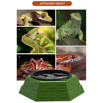 Reptile Food Bowl Plastic Water Feeder Bowls Anti- Escape Mini Round Reptile Feeder for Lizard, Gecko,Cricket, Leopard Gecko etc (Small) - size: Small