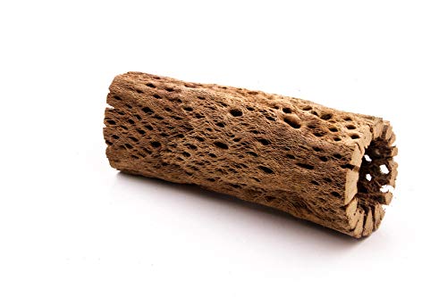 3 to 48 Inch All Natural Teddy Bear Cholla Wood Extra Hollow Large Untreated Organic Aquarium Driftwood Decoration Chew Toy Shrimp Crab Multi-Quantity - size: 1 Piece, 6 inch