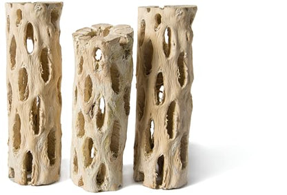 Galapagos 05270 Cholla Wood for Aquarium ,(pack of 3)
