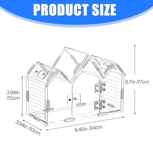 360 Degree Clear Views Reptiles Terrarium Box Ventilated Design Tanks House for Quick Maintenances and Plant Display Use Reptiles Habitat House