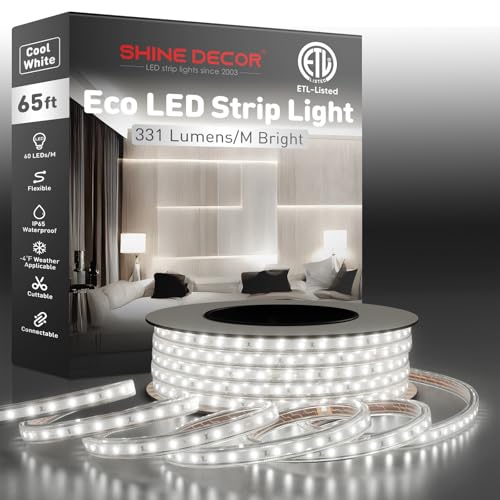 Shine Decor LED Strip Light Easy Connectable, 6000K Cool White Cold Resist Weatherproof Plug-in for Indoor Outdoor, 101 LM/FT Dimmable Bright Eco Rope Lighting 65FT, 120V Whole Set ETL Listed - color: Cool White, size: 65.6 Ft