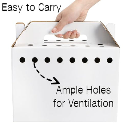 Coloch 20 Pack Cardboard Pet Carrier for Small Pets, 11x8x6 Inches Disposable Pet Transport Box for Pullets, Fowls, Hamsters, Gerbils, Reptiles, Guinea Pigs