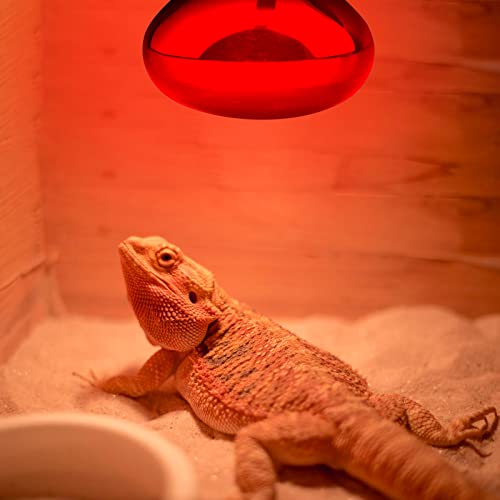 Aiicioo Reptile Red Night Light Bulb - 150W Reptile Heat Lamp Bulb Infrared Basking Spot Lamp for Bearded Dragon Lizard Turtle Hermit Crab Leopard Gecko Snake Chameleon Tank - color: ['Red'], size: ['150W']