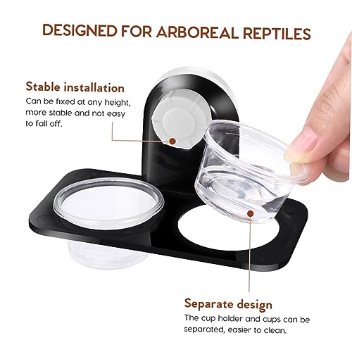 BESPORTBLE 2pcs Reptile Food Dishes Pet Water Bowls Suction Cups for Aquarium Turtle