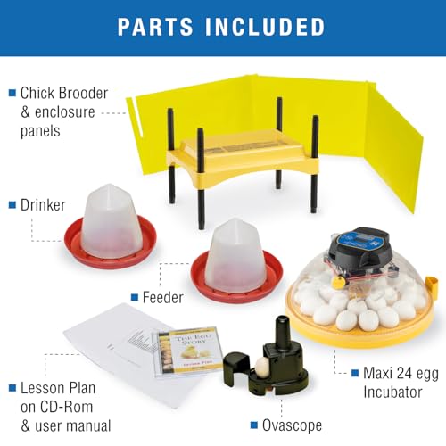 Brinsea Maxi 24 Advance Egg Incubator Classroom Kit Brooder Pack for Students with Lesson Plan, Egg Scope, EcoGlow Brooder, Plastic Chick Enclosure, Feeder and Drinker for Hatching Chicks, Ducklings - size: Classroom Kit, 24 Eggs