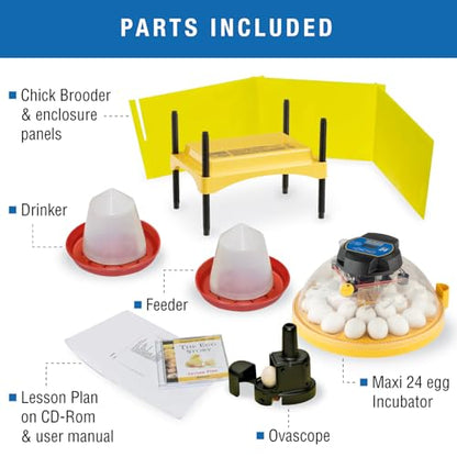 Brinsea Maxi 24 Advance Egg Incubator Classroom Kit Brooder Pack for Students with Lesson Plan, Egg Scope, EcoGlow Brooder, Plastic Chick Enclosure, Feeder and Drinker for Hatching Chicks, Ducklings - size: Classroom Kit, 24 Eggs