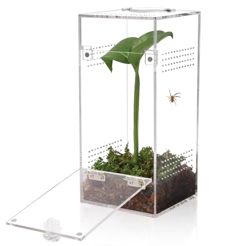 Jumping Spider & Tarantula Enclosure, Snail & Praying Mantis Habitat, Insect & Small Reptile Terrarium (6.8x3.1x3.1inch)