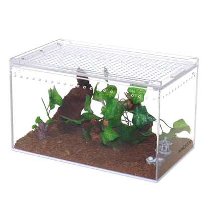 NANEEZOO Magnetic Acrylic Enclosure 10x6x6 Inch Tall Long Case Reptile Habitat Terrarium cage for Terrestrial Arboreal Tarantula Scorpion Sling Isopods Lizards Invertebrates Insect Mantis
