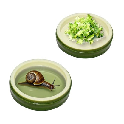2 Pack Snail Water and Food Bowl，atural Design Food Bowl for Pet Snails, Garden Snails Pet Land Snail Terrarium Supplies - color: green