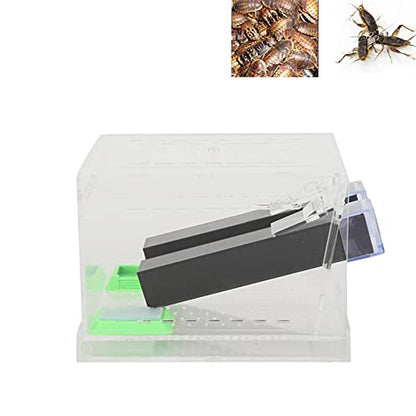 Cricket Keeper with Tubes, High Transparency Acrylic Material Cricket Keeper for Office for Home(L)