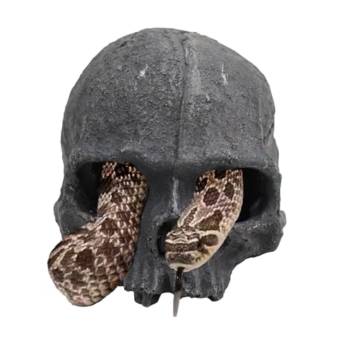 Oooct Resin Skull Sculpture, Black, Reptile Hideout for Fish, Bearded Dragon, Ball Python, Leopard Gecko, 4.7 x 3.5 x 3.7 Inch - color: Black, size: Simulated Human Skull