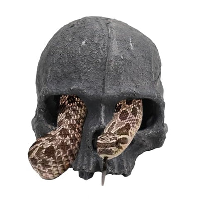 Oooct Resin Skull Sculpture, Black, Reptile Hideout for Fish, Bearded Dragon, Ball Python, Leopard Gecko, 4.7 x 3.5 x 3.7 Inch - color: Black, size: Simulated Human Skull