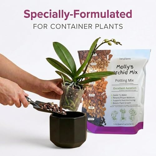 Molly's Orchid Potting Mix - Premium Gritty Soilless Orchid Mix - Chunky High Drainage vs Standard Potting Soil for Indoor Plants - Contains Bark, Coco Chips, Akadama, Pumice, Lava Rock 5 Dry Quarts - size: 5 Dry Quarts, style: Orchids