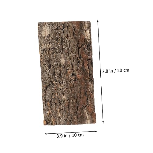 BESPORTBLE 2pcs Bark Aquarium Decor for Reptiles Safe and Wear-Resistant Terrarium Background for Fish Tanks and Reptile Habitats Each