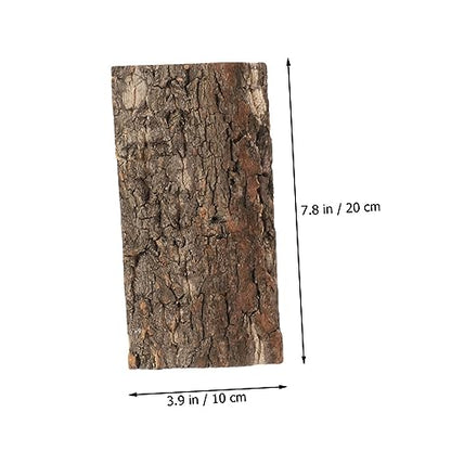 BESPORTBLE 2pcs Bark Aquarium Decor for Reptiles Safe and Wear-Resistant Terrarium Background for Fish Tanks and Reptile Habitats Each
