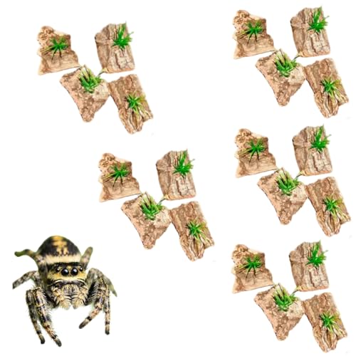 20 Pieces Tarantula Enclosure Decor Cork Bark Hide with Natural Grasses Jumping Spider Accessories Tarantula Hide and Reptile Habitat Supplies