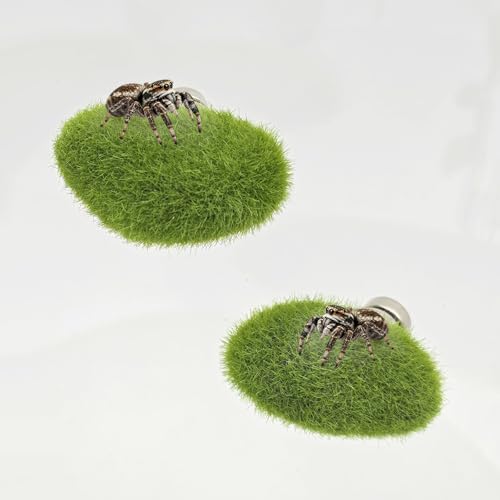 Jumping Spider Enclosure Accessories, 1 Glass Ball Habitat Hide with Green Rope and Artificial Tree Branch 2 Green Platform, Jumping Spider Enclosure Decor