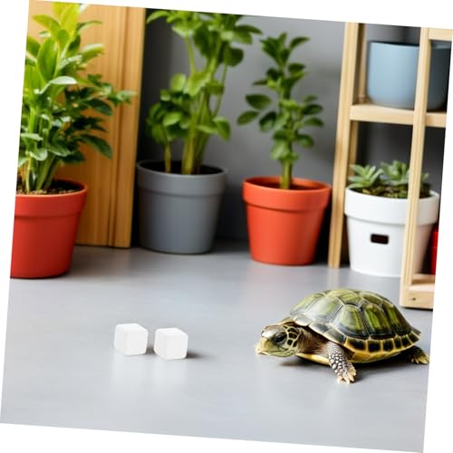 Tortoise Calcium Blocks 6pcs Calcium Cubes for Reptile Health Supplement Turtle Tank for Enhanced Strength