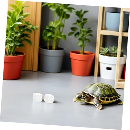 Tortoise Calcium Blocks 6pcs Calcium Cubes for Reptile Health Supplement Turtle Tank for Enhanced Strength
