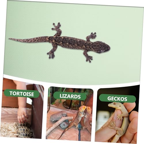 Reptile Carpet Substrate Mat for Terrarium EVA Flooring for Leopard Gecko Lizard Snake Tortoise Tank Liner Washable Reptile Habitat Accessory