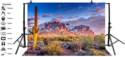 Leyiyi 5x4ft Arazona Mountain Cactus Photography Background Desert Sunset Summit Western American Travel Hiking Desert Flora Cloud Desolate Cowboy Polyester Backdrop Terrarium Background - color: Desert1, size: 5x4ft-P