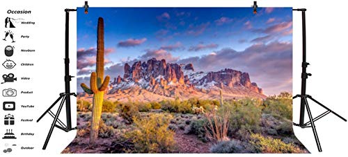 Leyiyi 7x5ft Arazona Mountain Cactus Photography Background Desert Sunset Summit Western American Travel Hiking Desert Flora Cloud Desolate Cowboy Polyester Backdrop Terrarium Background - color: Desert1, size: 7x5ft-P