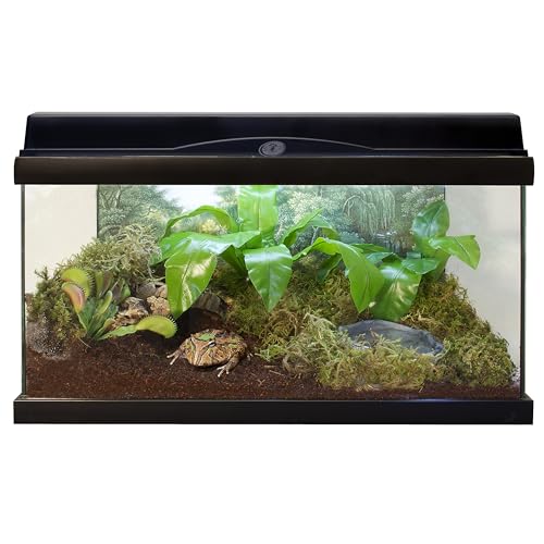 Zoo Med Eco Earth Compressed Coconut Fiber Substrate Reptiles 1 Brick - 3 Pack
