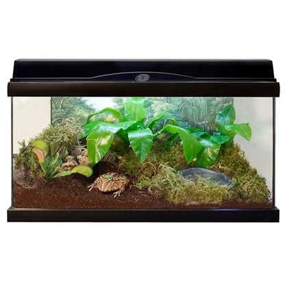 Zoo Med Eco Earth Compressed Coconut Fiber Substrate Reptiles 1 Brick - 3 Pack