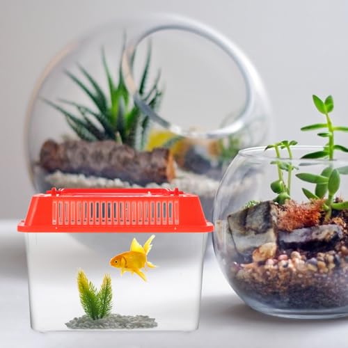 Betta Fish Tank Betta Fish Tank Portable Handheld Transparent Breeding Carrier Pet Reptile Habitat Portable Jump Starter