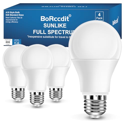 BORCCDIT Full Spectrum 6000K Natural Sunlight Bulbs, 9W Equivalent to 60W, Cool White Light, A19, E26/E27 Base (Pack of 4) - color: 6000k Cool White, size: 4 Packs