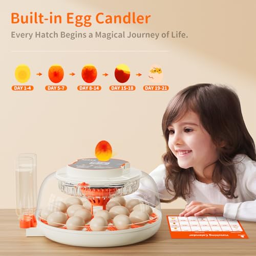18 Egg Incubator, Automatic and Adjustable Egg Turning, Egg Candler, Temperature and Humidity Control, Hatch Day, 2 Size Egg Tray, Automatic Water Refill, Hatching Chicken Quail Duck Turkey Goose Bird