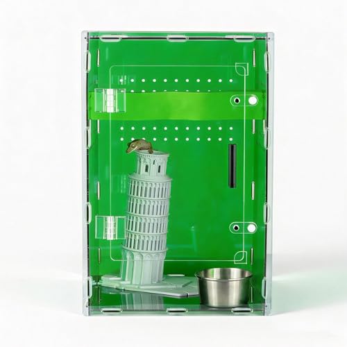 8x8x12 Acrylic Terrarium Reptile Tank – Cyberpunk Deep Green Reptile Enclosure Modeled After New Caledonia Rainforest for Lizards, Spiders & Small Reptiles - color: DeepGreen