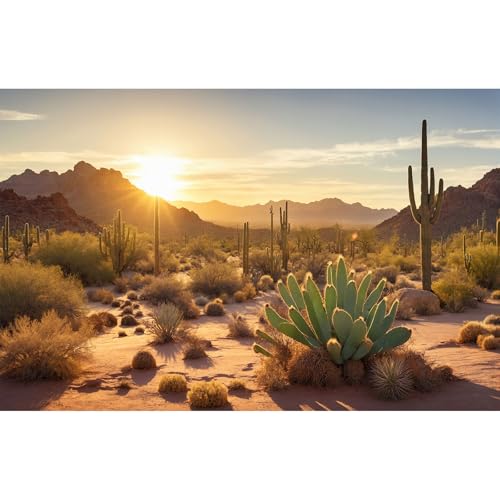 Reptile Habitat Background Sunset Desert Tank Decors Saguaro Cactus Arid Mountain Range Terrarium Background Cacti Sand Dunes Aquarium Background Desert Mountain Fish Tank Background 24x12in - color: Orange, size: 24(W)x12(H)in