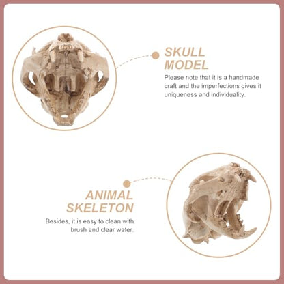 Hemobllo Aquarium Skull: Skull Aquarium Decor Resin Cat Skeleton for Fish Tank Reptile Tank Decoration Unique Handmade Craft for Home Terrarium Ornament