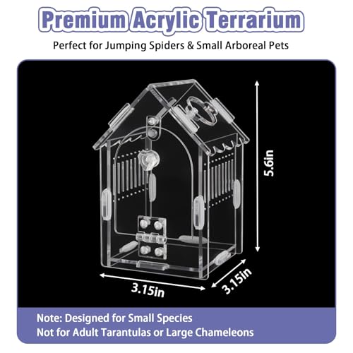 Acrylic Jumping Spider Enclosure with Magnetic Latch - color: Transparency