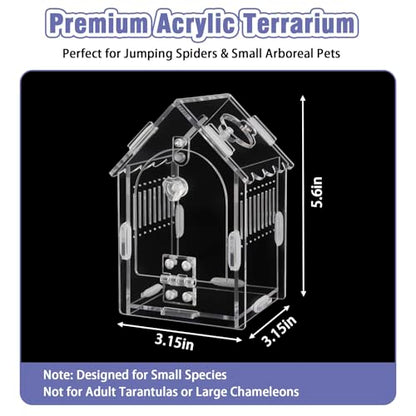 Acrylic Jumping Spider Enclosure with Magnetic Latch - color: Transparency