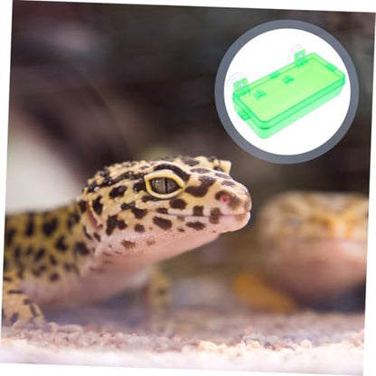 Pet Reptile Feeder Suction Cup Gecko Food and Water Bowl Escapeproof and Easy to Basin - color: Light Green, size: 13.50X6.50X3.50CM