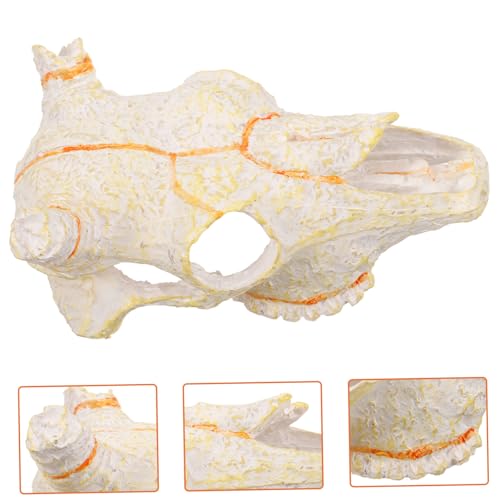 Hemoton Reptile Hideout Skull Decor Resin Molding for Aquarium and Terrarium for Fish and Turtles Unique Home Decoration for