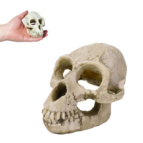Animal Skull Reptile Hide Cave, Fish Tank Decoration Resin Bone Ornament, Terrarium Habitat Hideout for Lizards, Snakes, Frogs & Small Animals, Ape Skull