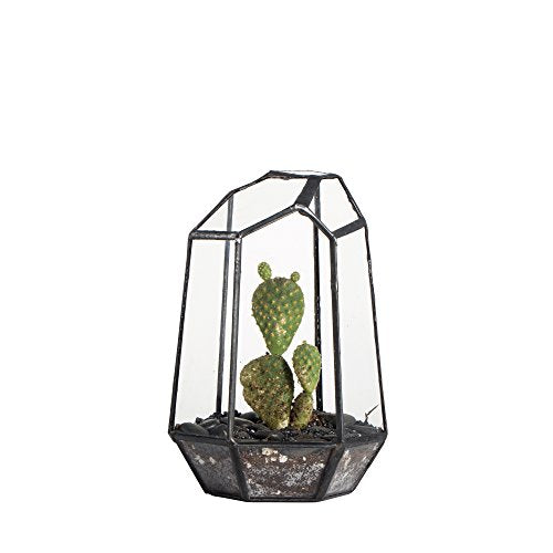 NCYP Small No Door Geometric Terrarium - 4.1" x 3.5" x 5.9" Miniature Irregular Glass Terrarium Planter for Mini Succulent Air Plants - Tabletop Garden Container, Black (No Plants) - size: 4.1"x3.5"x5.9"
