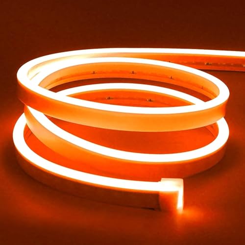 Lamomo LED Neon Lights, 16.4ft Orange Halloween Decorations 0.39In/Cut Rope Light, 12V Flexible Waterproof Silicone Neon Lighting for Indoor Outdoor Decor（Power Adapter not Included - color: Orange, size: 16.4 Ft