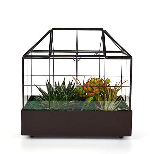 YIMORENCE V Large Tall Plant Terrarium Glass Greenhouse with Lid and Tray, Indoor Tabletop Orchid Succulent Cacti Kit 9.5'X9.8'X5.6'