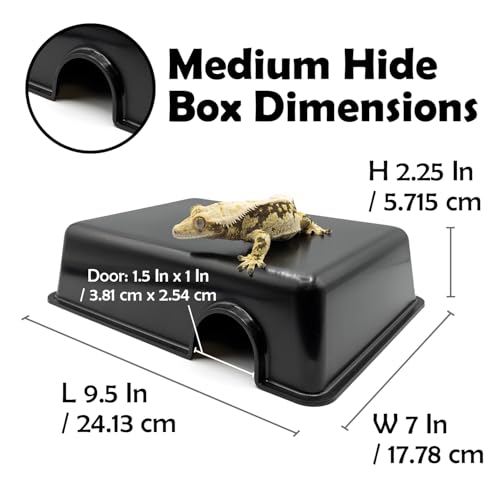 Pangea Reptile Hide Box (C- Medium), Black - size: C- Medium
