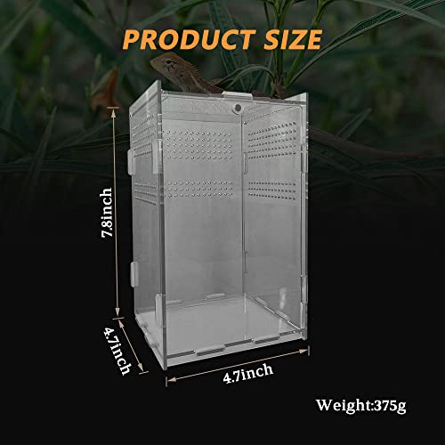 Acrylic Reptile Terrarium, Transparent Reptile Tank Habitat Terrariums Mini Enclosure Feeding Breeding Box with Cover for Tarantula Isopod Roach InvertebratesGecko Frog （5“x5”x8“）