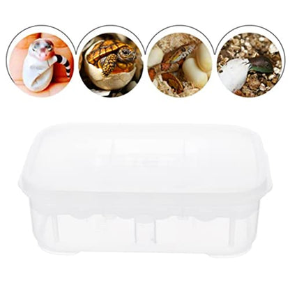 3pcs Box Container Hatching Reptile Lizards Lizard Breeding Snake for Tray Gecko Hatchery Feeding Hatcher Transparent Reptiles Eggs -Layer Grids Incubation Drawer Incubator