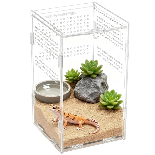 Acrylic Reptile Enclosure, 4.7 x 4.7 x 7.9 in Vivarium Terrarium for Spiders, Frogs, Praying Mantis, Clear Habitat with Ventilation Holes, Front Opening Door for Easy Access
