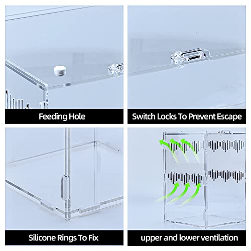 6" x 6" x 9" Acrylic Large Terrarium Enclosure for Small Reptiles, Amphibians, Spiders, Tarantula, Gecko, Snail, Praying Mantis, Millipede, Centipede, Isopods (Arboreal)