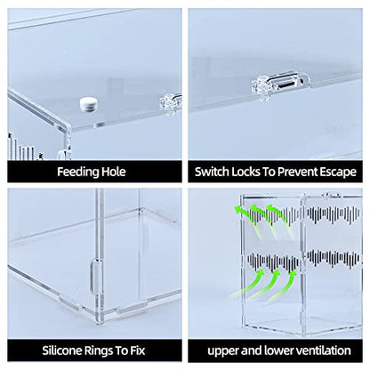 6" x 6" x 9" Acrylic Large Terrarium Enclosure for Small Reptiles, Amphibians, Spiders, Tarantula, Gecko, Snail, Praying Mantis, Millipede, Centipede, Isopods (Arboreal)