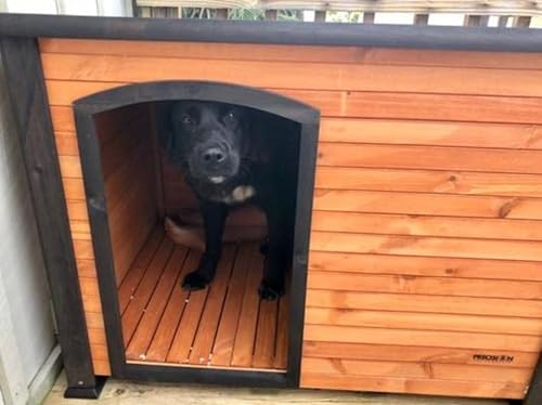 PRECISION PET PRODUCTS Extreme Outback Log Cabin Dog House, Large, Natural Wood (7027013) - color: Walnut/Dark Brown, size: Large, style: Extreme Outdoor Log Cabin